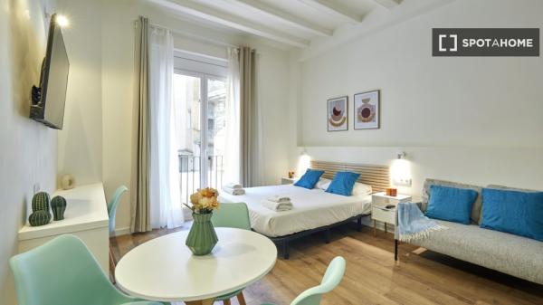 apartamento de 1 dormitorio en alquiler en El Raval, Barcelona