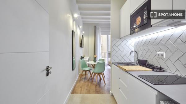 apartamento de 1 dormitorio en alquiler en El Raval, Barcelona