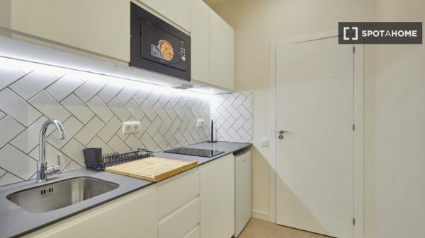 apartamento de 1 dormitorio en alquiler en El Raval, Barcelona