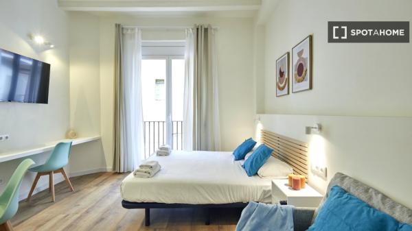 apartamento de 1 dormitorio en alquiler en El Raval, Barcelona
