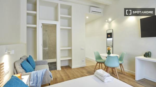 apartamento de 1 dormitorio en alquiler en El Raval, Barcelona