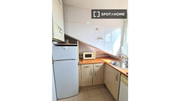 Estudio en alquiler en Embajadores, Madrid