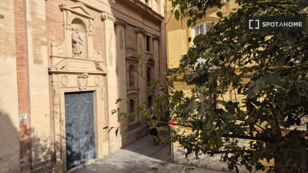 Se alquila habitación en piso compartido de 4 habitaciones, El Pilar