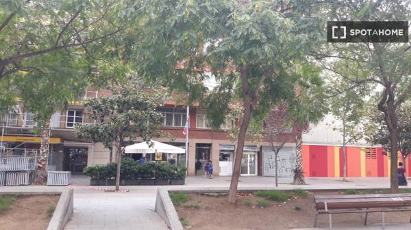 Se alquila habitación en apartamento de 3 dormitorios en Barcelona