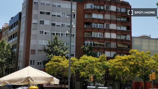 Se alquila habitación en apartamento de 3 dormitorios en Barcelona