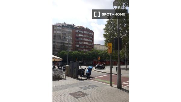 Se alquila habitación en apartamento de 3 dormitorios en Barcelona