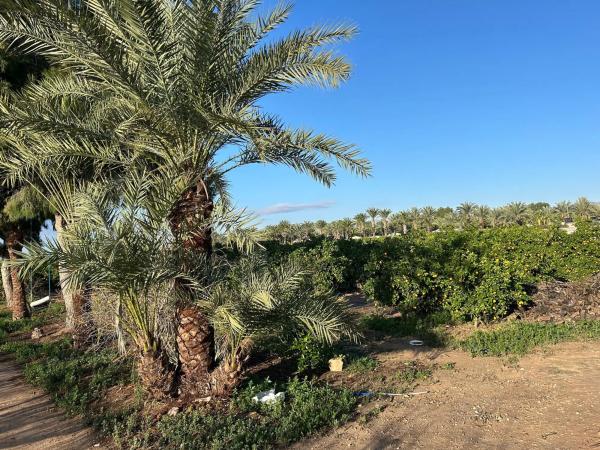 Casa rural en via Camino