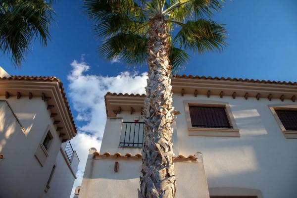 Chalet pareado en avenida Antonio Pedrera Soler, 53