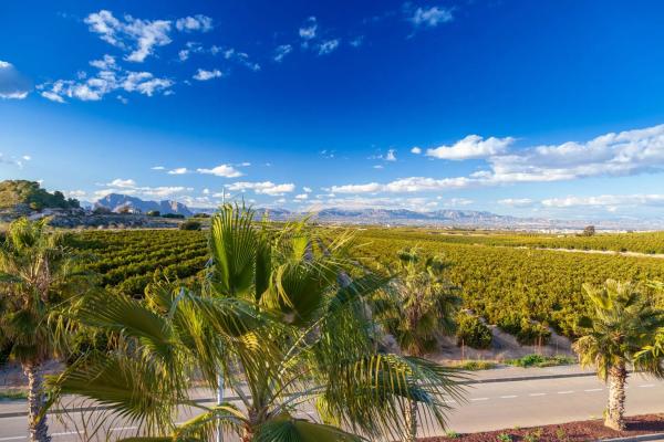 Chalet pareado en avenida Antonio Pedrera Soler, 53