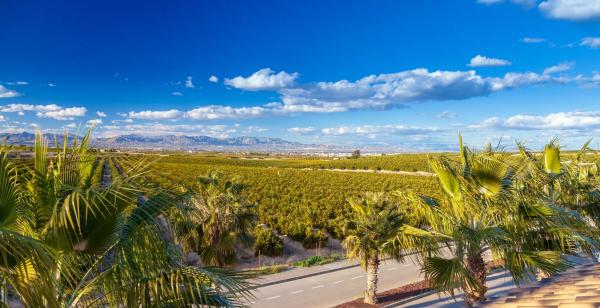 Chalet pareado en avenida Antonio Pedrera Soler, 53