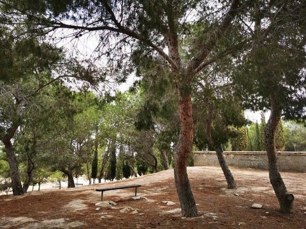 Piso en calle Miguel Hernández, 67