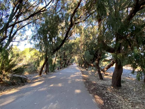 Piso en calle Luis Rivera, 36