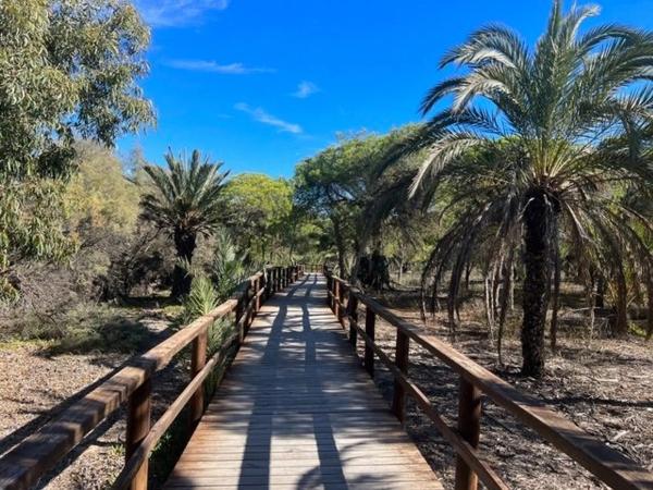 Piso en calle Maestro Alfonso Marín, 3