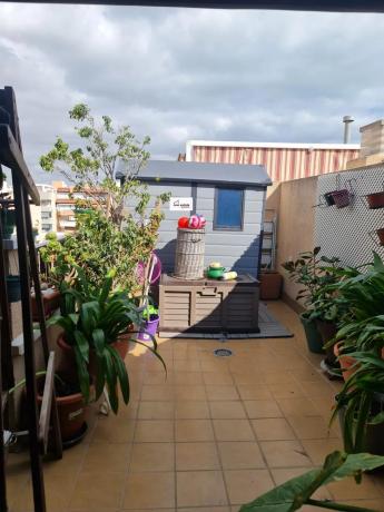 Dúplex en Zona Pueblo