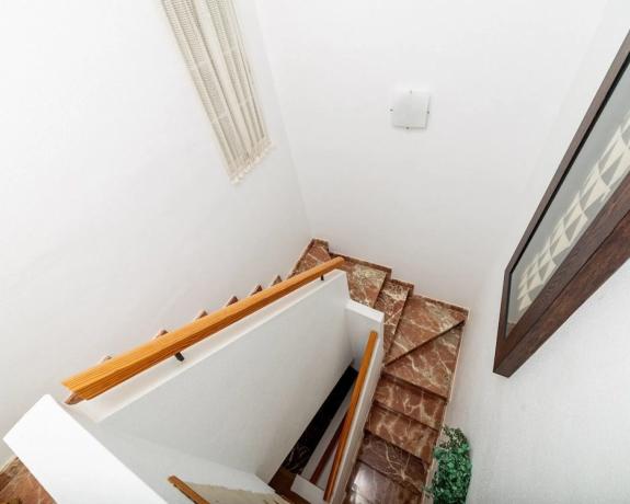 Chalet adosado en calle Azores s/n