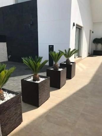 Casa independiente en avenida de Salamanca, 6