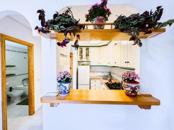 Estudio en calle Abedul