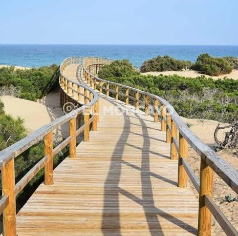 Chalet adosado en avenida de Torrevieja