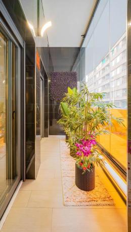 Piso en avenida de la Purisima, 7