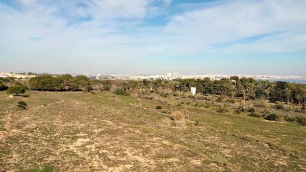 Piso en calle Pleamar s/n