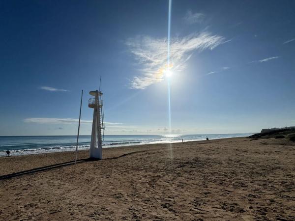 Estudio en avenida de l'Alegría