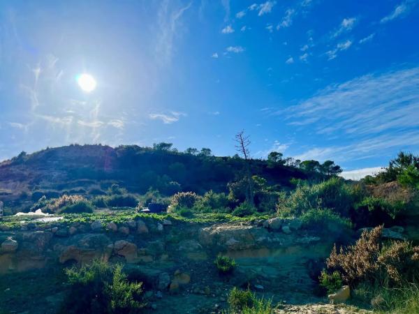 Finca rústica en camino Viejo de Saladas, 2