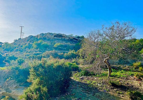 Finca rústica en camino Viejo de Saladas, 2