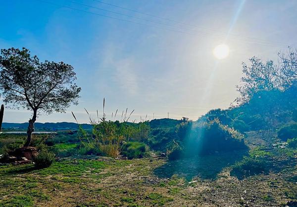 Finca rústica en camino Viejo de Saladas, 2