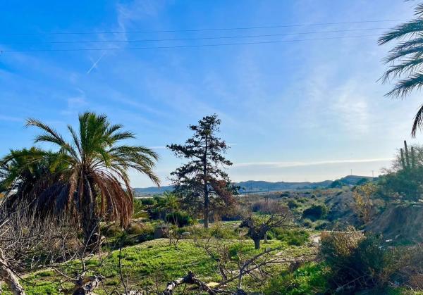 Finca rústica en camino Viejo de Saladas, 2