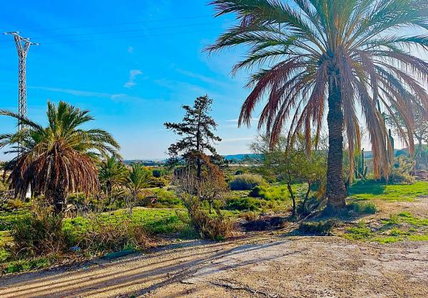 Finca rústica en camino Viejo de Saladas, 2