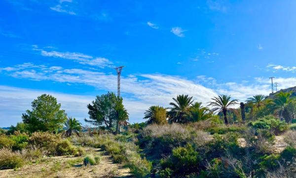 Finca rústica en camino Viejo de Saladas, 2
