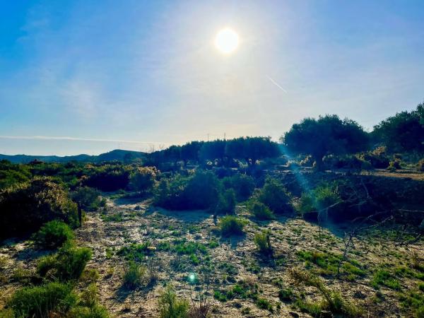 Finca rústica en camino Viejo de Saladas, 2