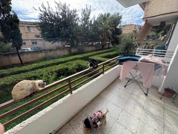 Piso en calle Poeta Salvador Sellés