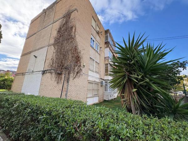 Piso en calle Poeta Salvador Sellés