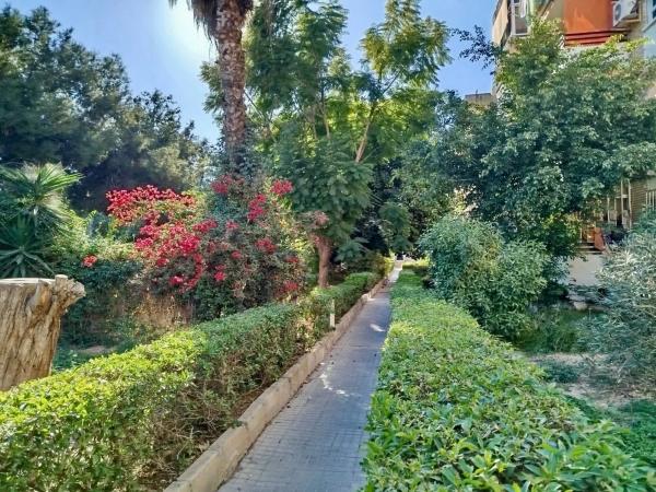 Piso en CL Poeta Salvador Selles