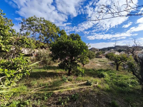 Casa independiente en calle Almogavers, 24