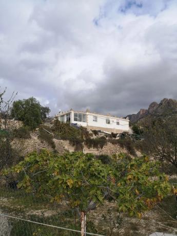 Finca rústica en pla de gralla, 2