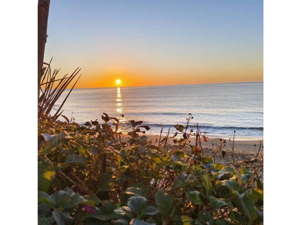 Chalet adosado en avenida del Carritxal