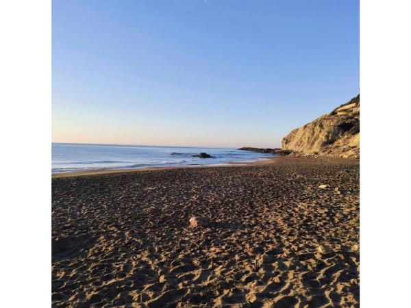 Chalet adosado en avenida del Carritxal