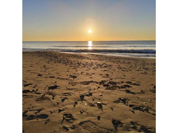 Chalet adosado en avenida del Carritxal