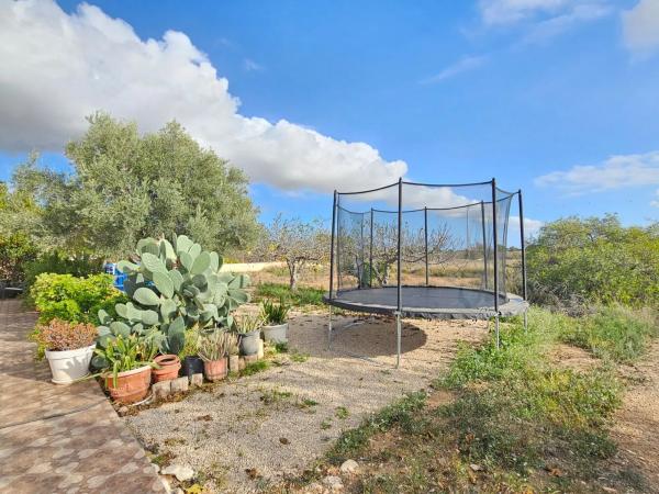 Finca rústica en camino del Carreret