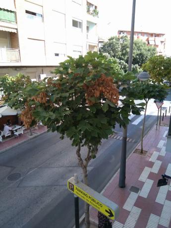 Estudio en calle Poeta Miguel Hernández, 7
