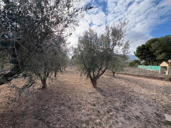 Finca rústica en Urbanizacion Terol e