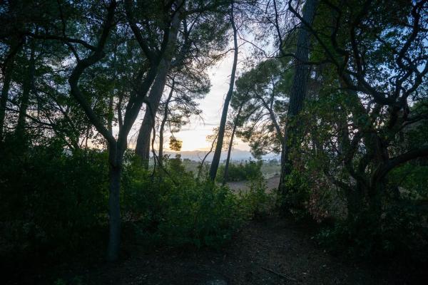 Castillo en Partida Plans, 1