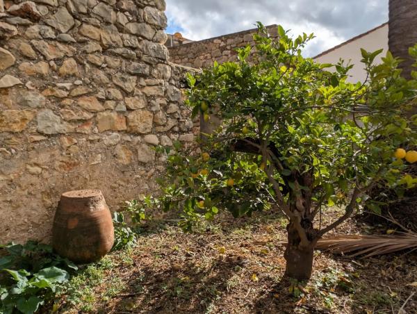 Casa de pueblo en calle del Calvari, 11