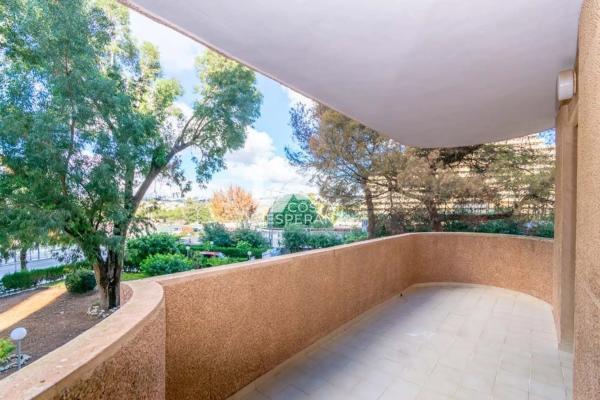 Piso en avenida Juan Carlos I