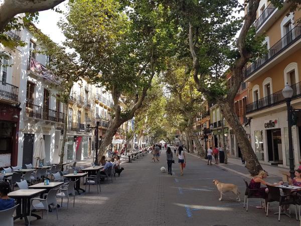 Ático en Centro Urbano