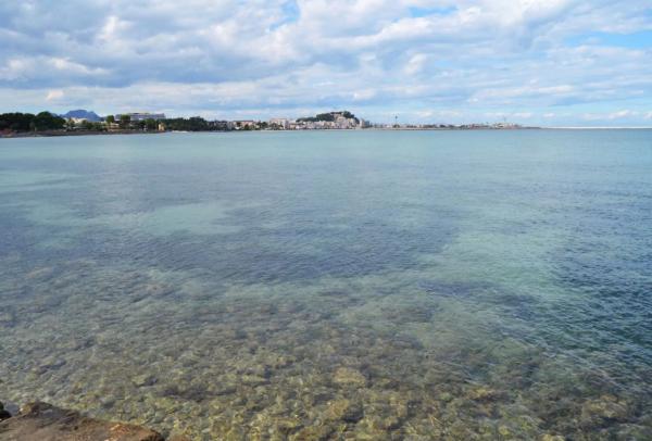 Piso en camino Merle