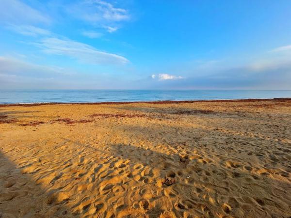 Chalet en Centro Urbano