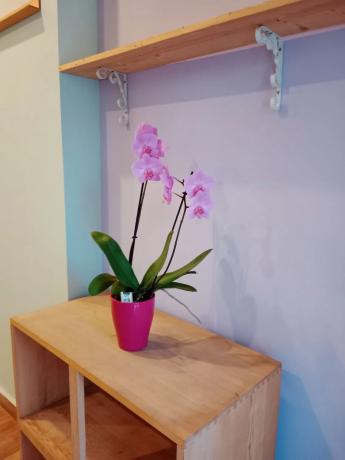 Piso en calle Assagador de la Marjal